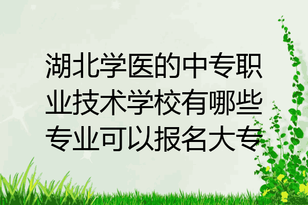 湖北学医的中专职业技术学校有哪些专业可以报名大专