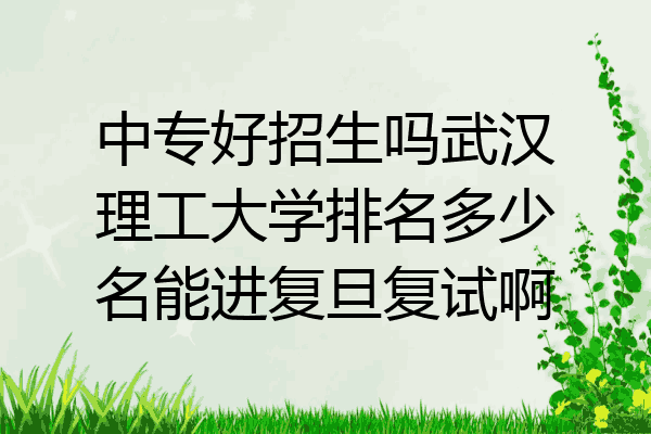 中专好招生吗武汉理工大学排名多少名能进复旦复试啊