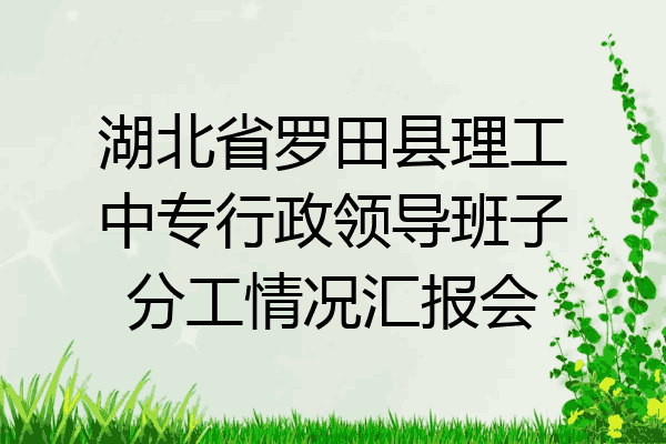 湖北省罗田县理工中专行政领导班子分工情况汇报会