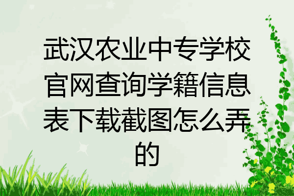 武汉农业中专学校官网查询学籍信息表下载截图怎么弄的