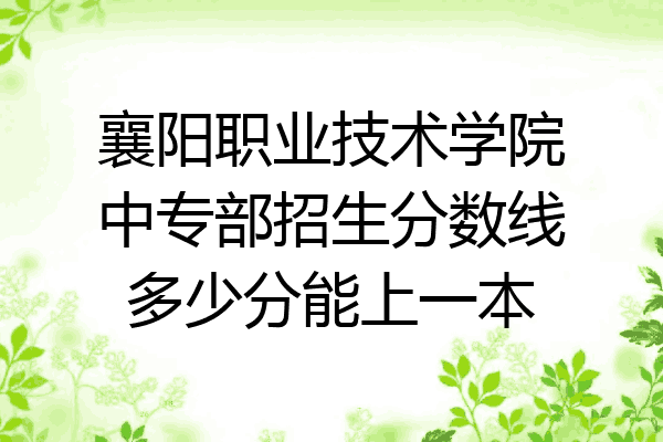 襄阳职业技术学院中专部招生分数线多少分能上一本