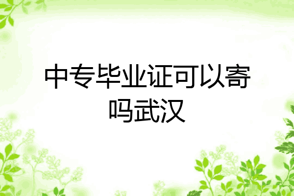 中专毕业证可以寄吗武汉