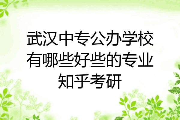 武汉中专公办学校有哪些好些的专业知乎考研