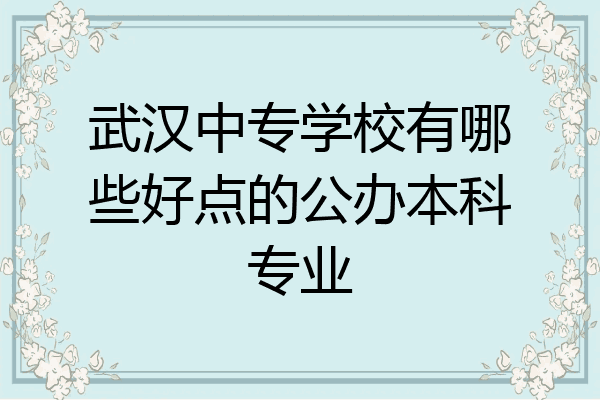 武汉中专学校有哪些好点的公办本科专业