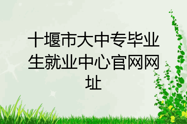 十堰市大中专毕业生就业中心官网网址