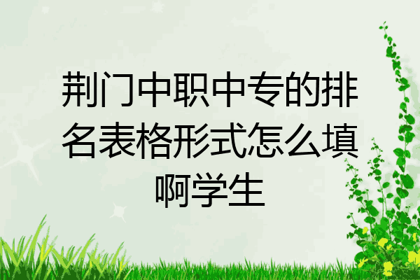 荆门中职中专的排名表格形式怎么填啊学生