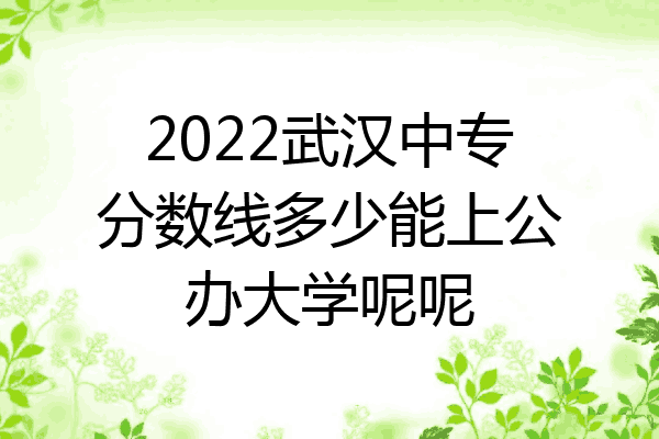 2022武汉中专分数线多少能上公办大学呢呢