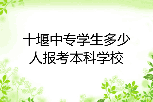 十堰中专学生多少人报考本科学校