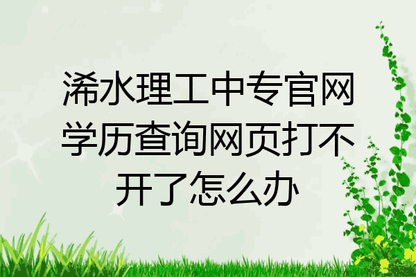 浠水理工中专官网学历查询网页打不开了怎么办