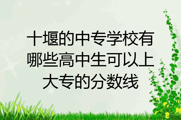 十堰的中专学校有哪些高中生可以上大专的分数线