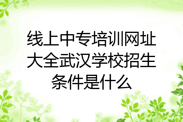 线上中专培训网址大全武汉学校招生条件是什么
