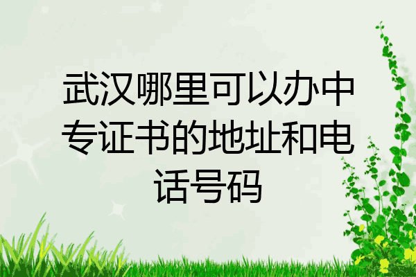 武汉哪里可以办中专证书的地址和电话号码