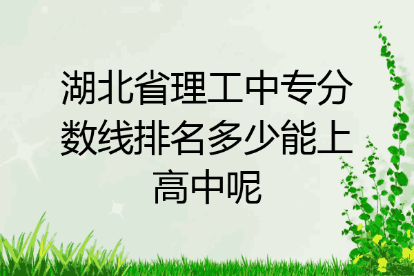 湖北省理工中专分数线排名多少能上高中呢