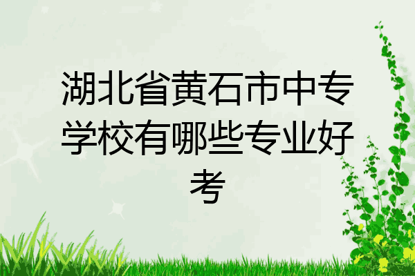 湖北省黄石市中专学校有哪些专业好考