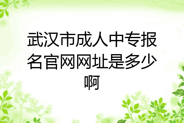 武汉市成人中专报名官网网址是多少啊