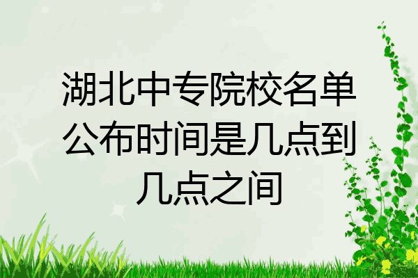 湖北中专院校名单公布时间是几点到几点之间