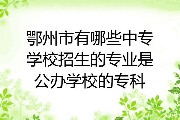 鄂州市有哪些中专学校招生的专业是公办学校的专科