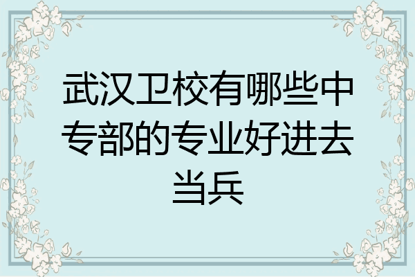 武汉卫校有哪些中专部的专业好进去当兵