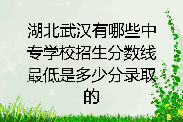 湖北武汉有哪些中专学校招生分数线最低是多少分录取的