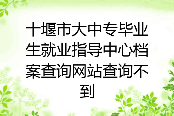 十堰市大中专毕业生就业指导中心档案查询网站查询不到