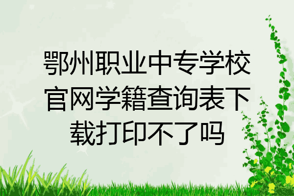 鄂州职业中专学校官网学籍查询表下载打印不了吗