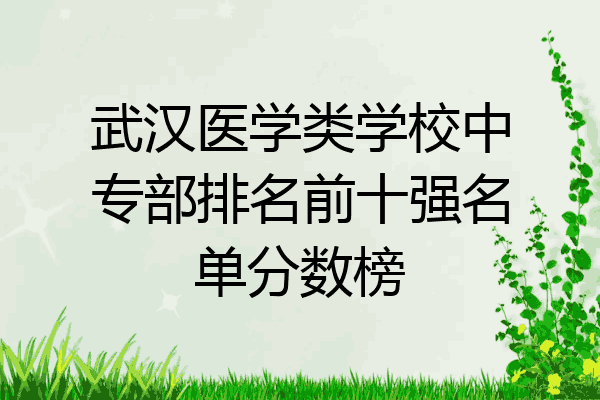 武汉医学类学校中专部排名前十强名单分数榜