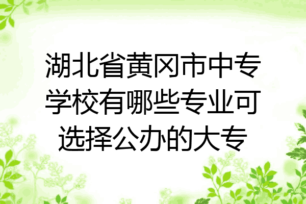 湖北省黄冈市中专学校有哪些专业可选择公办的大专