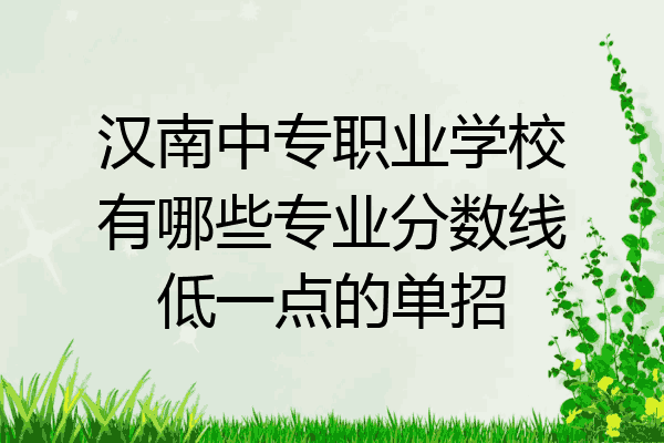 汉南中专职业学校有哪些专业分数线低一点的单招