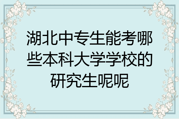 湖北中专生能考哪些本科大学学校的研究生呢呢