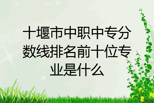 十堰市中职中专分数线排名前十位专业是什么