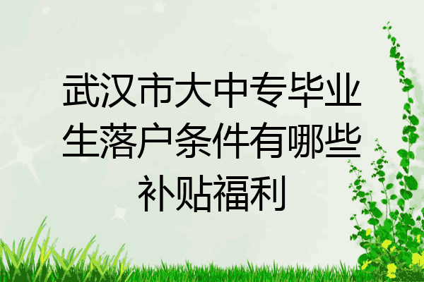 武汉市大中专毕业生落户条件有哪些补贴福利