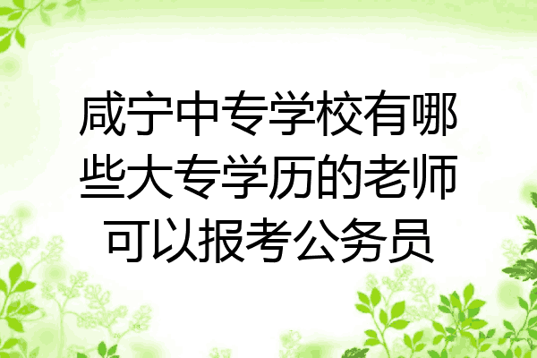 咸宁中专学校有哪些大专学历的老师可以报考公务员