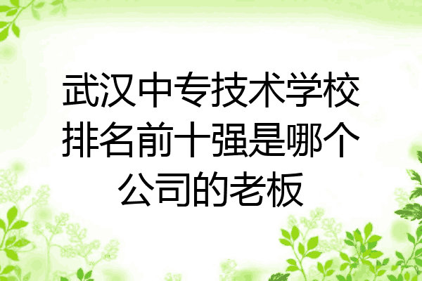 武汉中专技术学校排名前十强是哪个公司的老板
