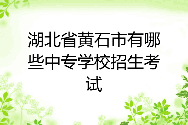 湖北省黄石市有哪些中专学校招生考试