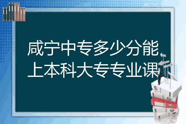 咸宁中专多少分能上本科大专专业课