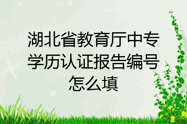 湖北省教育厅中专学历认证报告编号怎么填