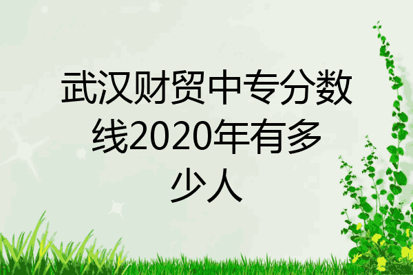 武汉财贸中专分数线2020年有多少人