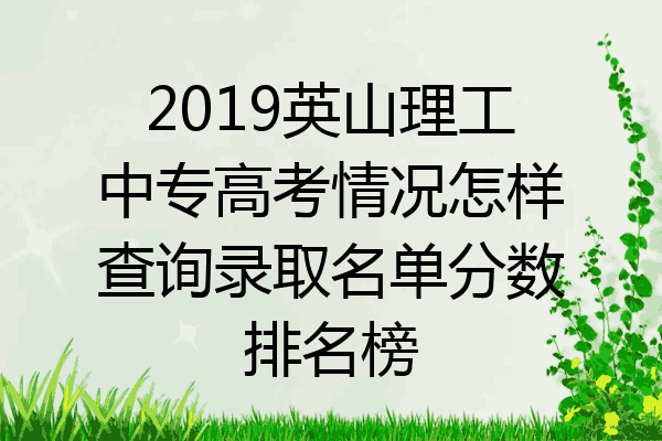 2019英山理工中专高考情况怎样查询录取名单分数排名榜