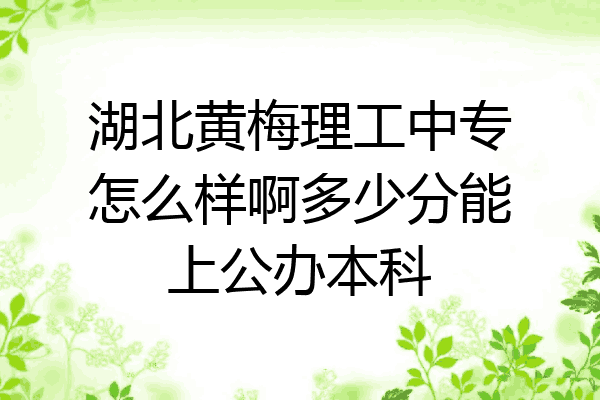 湖北黄梅理工中专怎么样啊多少分能上公办本科