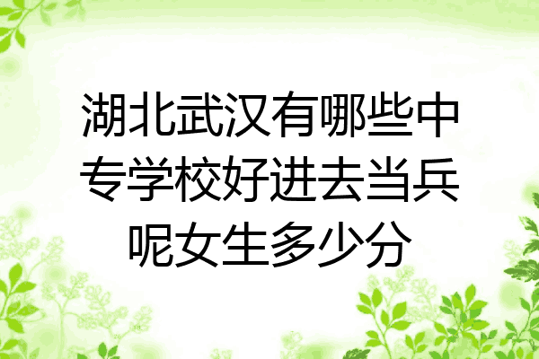 湖北武汉有哪些中专学校好进去当兵呢女生多少分
