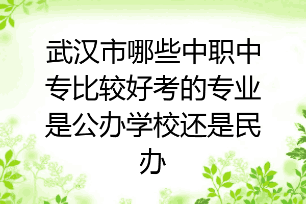 武汉市哪些中职中专比较好考的专业是公办学校还是民办