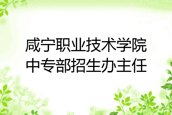 咸宁职业技术学院中专部招生办主任