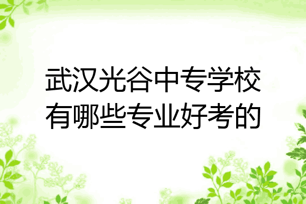 武汉光谷中专学校有哪些专业好考的