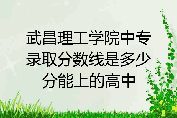 武昌理工学院中专录取分数线是多少分能上的高中