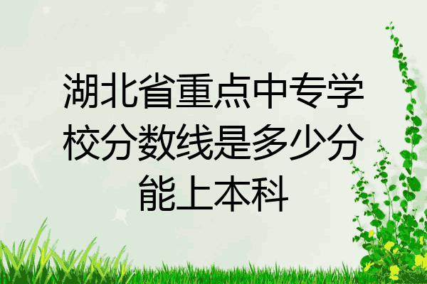 湖北省重点中专学校分数线是多少分能上本科