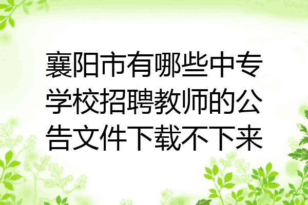 襄阳市有哪些中专学校招聘教师的公告文件下载不下来
