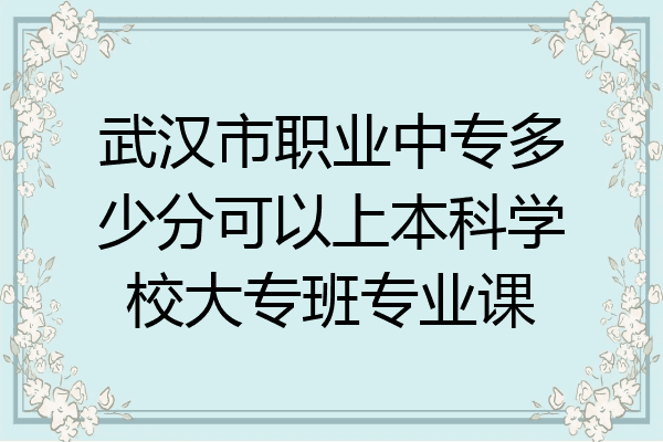 武汉市职业中专多少分可以上本科学校大专班专业课