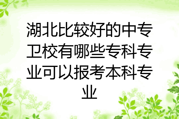 湖北比较好的中专卫校有哪些专科专业可以报考本科专业