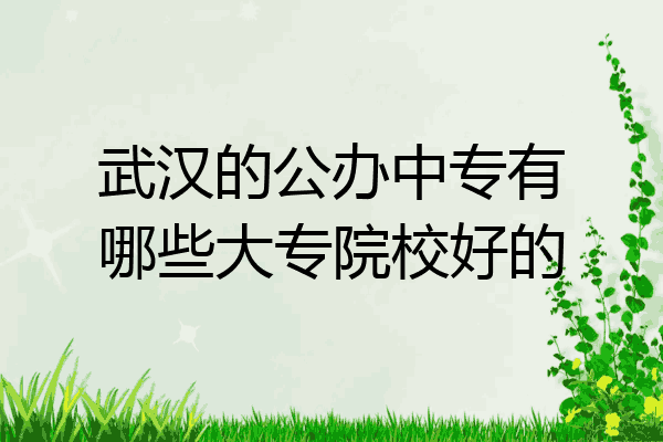 武汉的公办中专有哪些大专院校好的