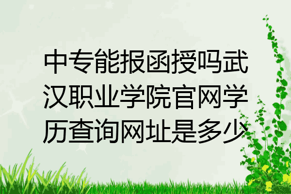 中专能报函授吗武汉职业学院官网学历查询网址是多少